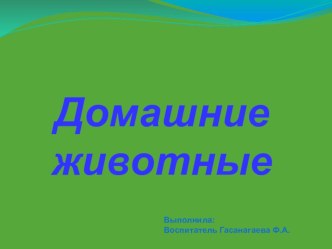 Презентация Домашние животные презентация к уроку по окружающему миру (младшая группа) по теме