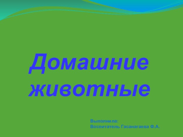 Домашние животныеВыполнила:Воспитатель Гасанагаева Ф.А.