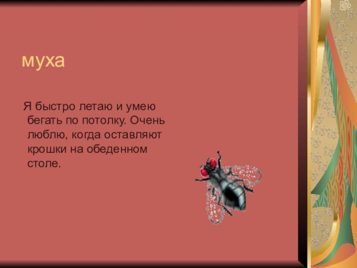 муха  Я быстро летаю и умею бегать по потолку. Очень люблю,