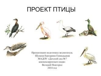Проект Птицы презентация к уроку (старшая группа)