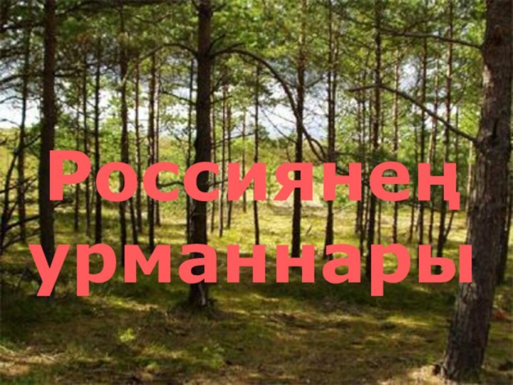 Россиянең урманнары