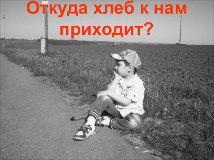 Откуда хлеб к нам приходит?