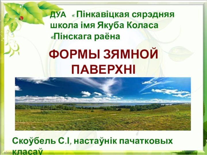 ДУА  « Пінкавіцкая сярэдняя школа імя Якуба Коласа «Пінскага раёнаФОРМЫ ЗЯМНОЙ