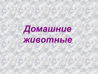 Презентация Домашние животные презентация к уроку по окружающему миру (младшая группа)