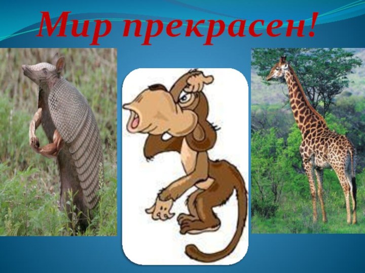 Мир прекрасен!