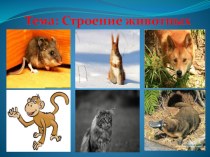 Презентацию по окружающему миру Строение животных. презентация к уроку по окружающему миру (2 класс)