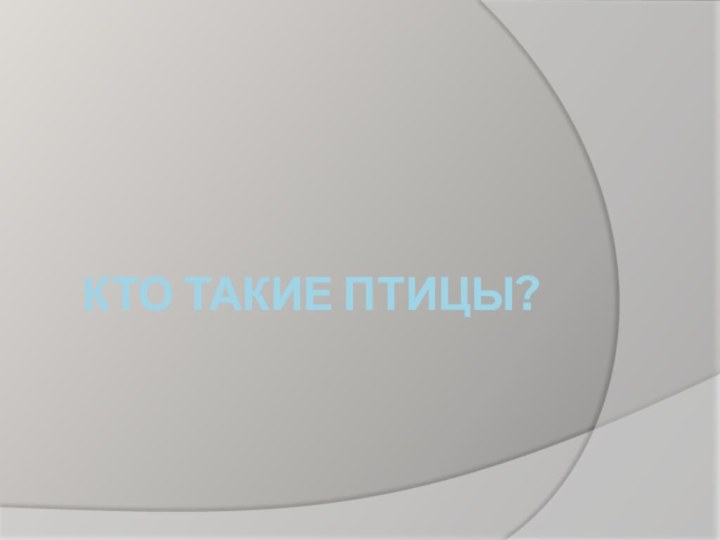 КТО ТАКИЕ ПТИЦЫ?