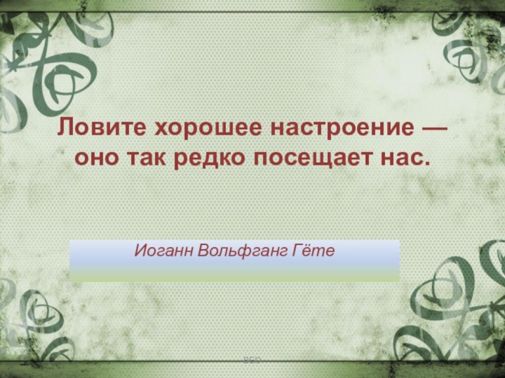 Ловите хорошее настроение — оно так редко посещает нас.  Иоганн Вольфганг Гёте ВЕО