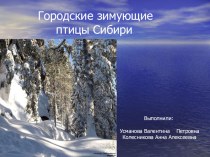 Конспект НОД  Городские зимующие птицы Сибири план-конспект занятия по окружающему миру (старшая группа)