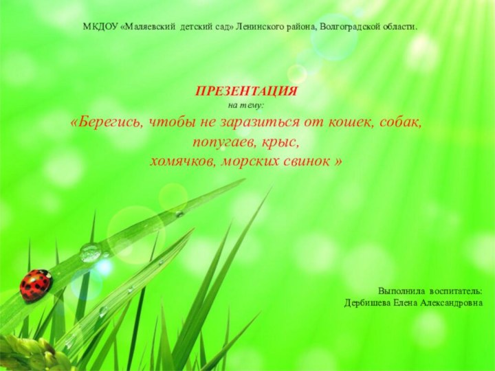 МКДОУ «Маляевский детский сад» Ленинского района, Волгоградской области. Выполнила воспитатель:Дербишева Елена Александровна