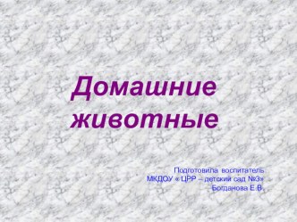 Презентация  Домашние животные презентация к уроку по окружающему миру (младшая группа)