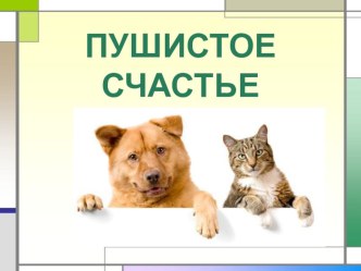 презентация к классному часу Пушистое счастье презентация к уроку ( класс)