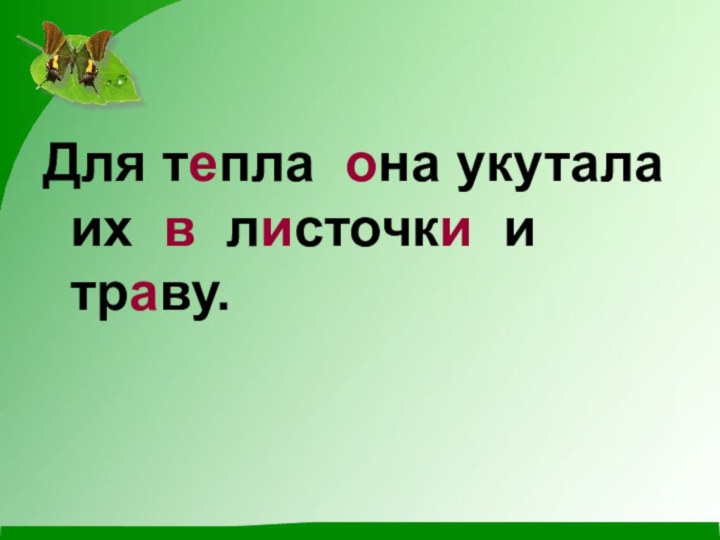 Для тепла она укутала их в листочки и траву.