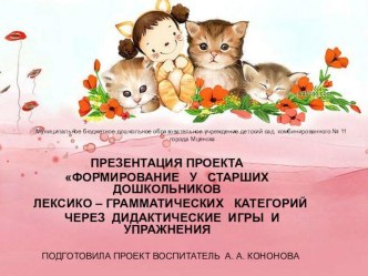 Презентация проекта Формирование у старших дошкольников лексико-грамматических категорий через дидактические игры и упражнения презентация к уроку (старшая группа)