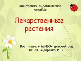 Электронно-дидактическое пособие Лекарственные растения презентация к занятию по окружающему миру (старшая группа)