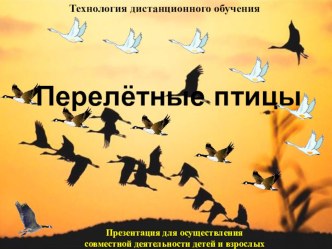 Лексическая тема Перелётные птицы Презентация для осуществления совместной деятельности детей и взрослых. Технология дистанционного обучения. учебно-методический материал по теме