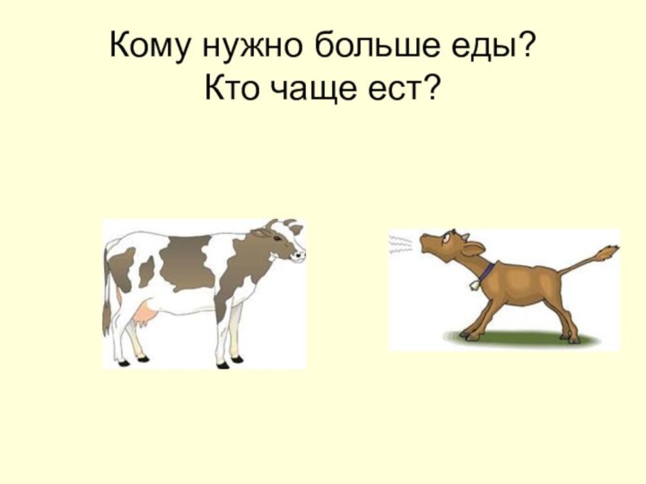 Кому нужно больше еды? Кто чаще ест?