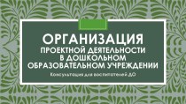 Консультация для педагогов Организация проектной деятельности в дошкольном образовательном учреждении консультация