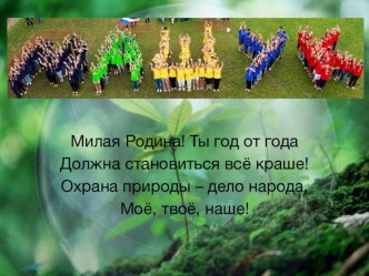 Презентация для родителей и воспитателей Лес Машука занимательные факты