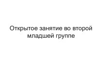 Открытая НОД по лепке во 2-ой мл.группе Поможем зверятам Африки план-конспект занятия по аппликации, лепке (младшая группа)