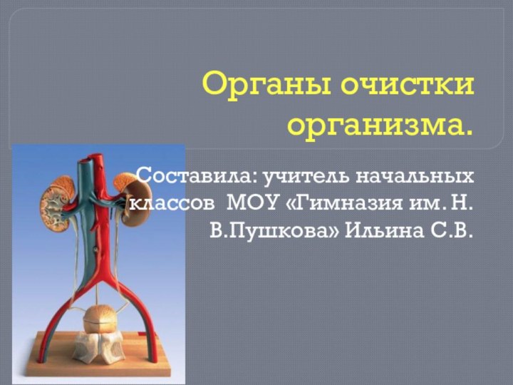 Органы очистки организма.Составила: учитель начальных классов МОУ «Гимназия им. Н.В.Пушкова» Ильина С.В.