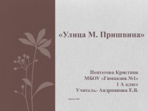 Улицы города Липецка, ул. Пришвина презентация к уроку по истории