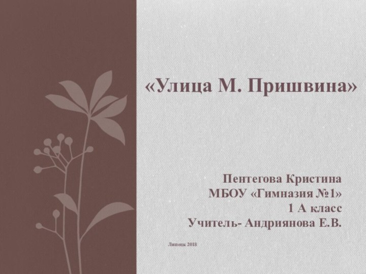 «Улица М. Пришвина»Пентегова КристинаМБОУ «Гимназия №1»1 А классУчитель- Андриянова Е.В.Липецк 2018