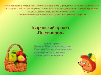 Проект по УМК проект