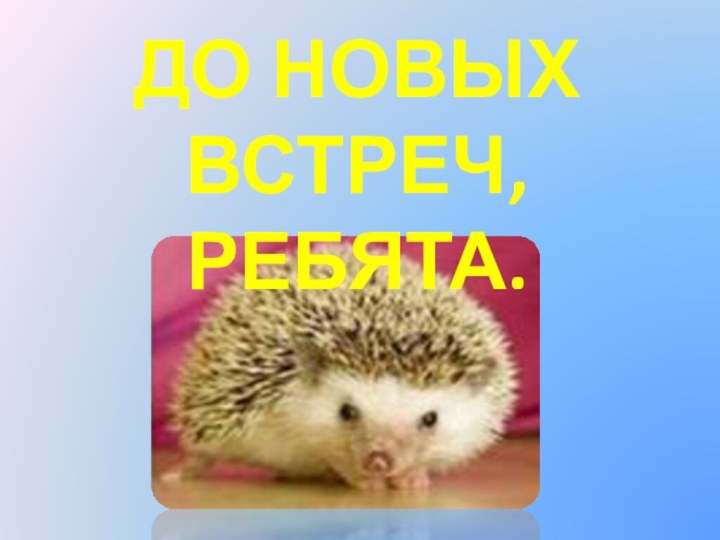 До новых встреч, ребята.