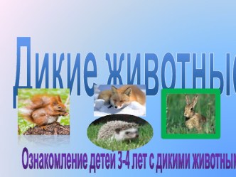 Дикие животные план-конспект занятия (средняя группа)