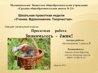 проектная работа Знакомьтесь - ёжик! проект (1 класс) по теме