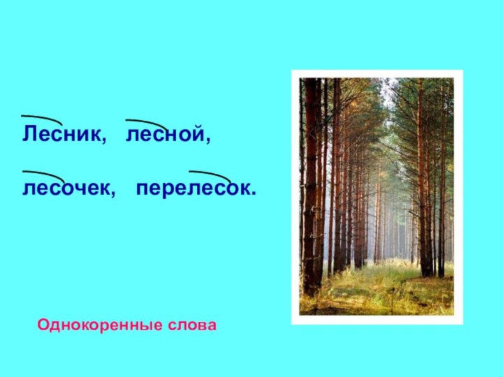 Лесник,  лесной, лесочек,  перелесок.Однокоренные слова