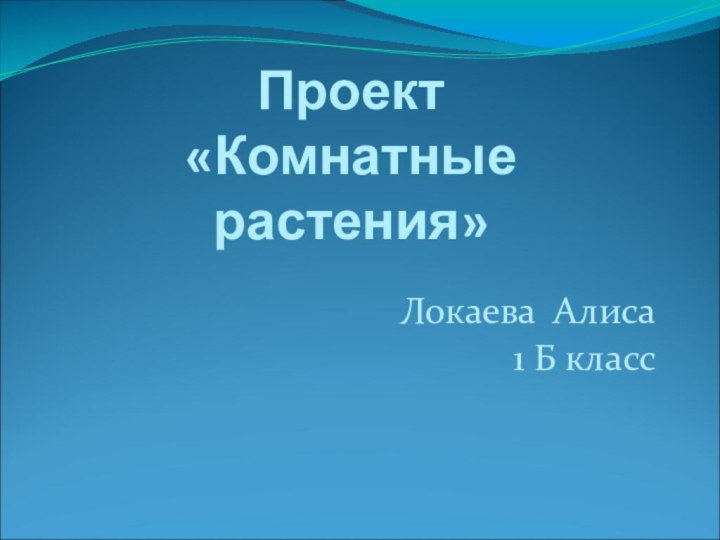 Проект «Комнатные растения»Локаева Алиса1 Б класс