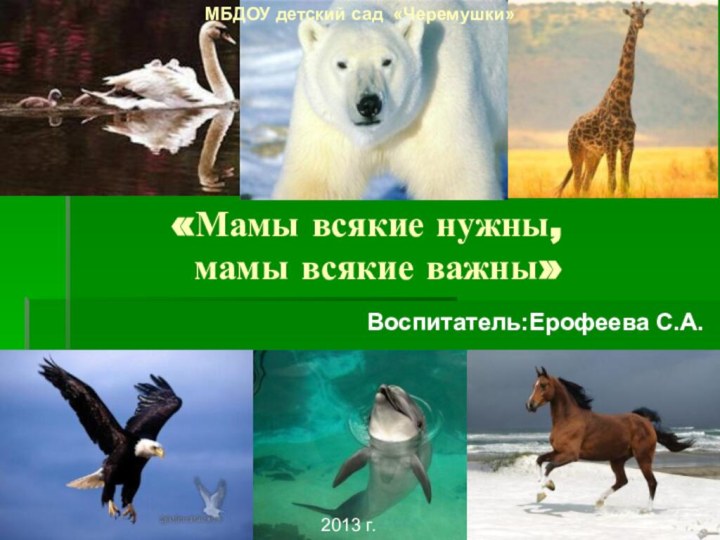 «Мамы всякие нужны,   мамы всякие важны»МБДОУ детский сад «Черемушки»Воспитатель:Ерофеева С.А.2013 г.