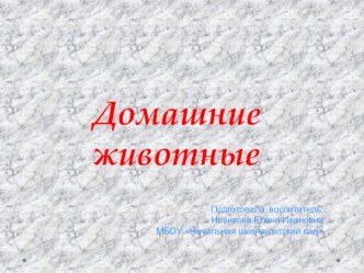 Презентация к занятию Домашние животные презентация по теме