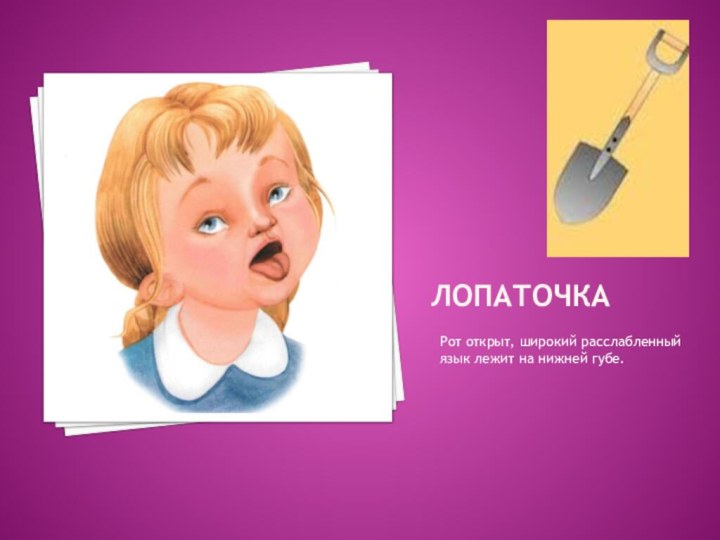 ЛОПАТОЧКАРот открыт, широкий расслабленный язык лежит на нижней губе. 