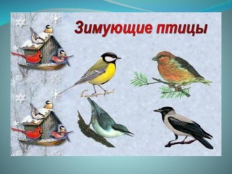 НОД Птицы - презентация презентация к уроку по окружающему миру (старшая группа)