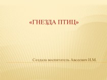 Презентация Гнезда птиц презентация к уроку по окружающему миру (старшая группа)