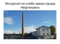 Виртуальная экскурсия на хлебо завод города Нефтекамск. презентация