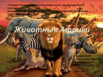 Презентация Животные Африки. презентация к уроку по окружающему миру (средняя группа) по теме