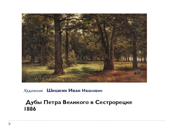 Художник  Шишкин Иван Иванович   Дубы Петра Великого в Сестрорецке 1886