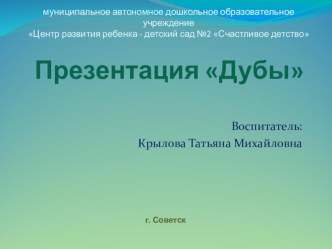 Проект: Музей одного дерева Дуб проект по окружающему миру (старшая, подготовительная группа)