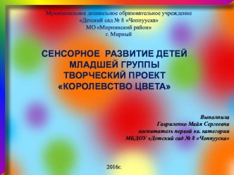 королевство цвета презентация к уроку (младшая группа)