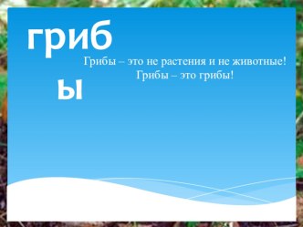 Грибы план-конспект урока по окружающему миру (2 класс)