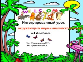 Интегрированный урок окружающего мира и английского языка Многообразие животных презентация к уроку по окружающему миру (3 класс)