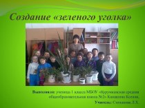 Проект Создание зеленого уголка в классе проект по окружающему миру (1 класс)