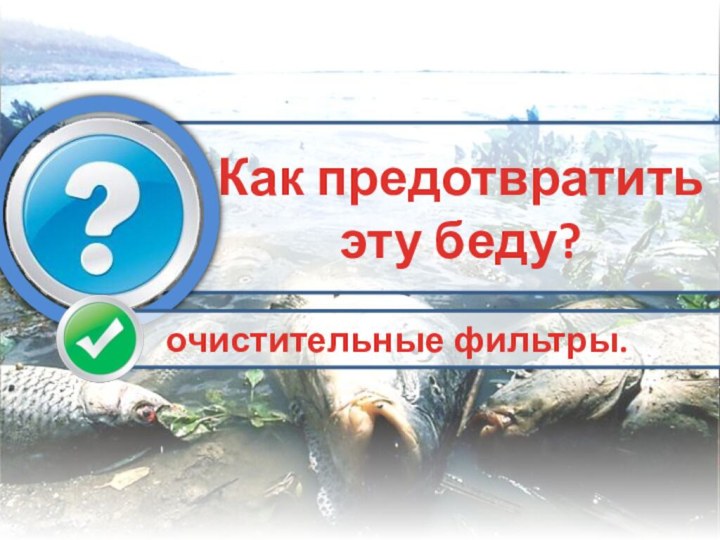 Как предотвратить эту беду?