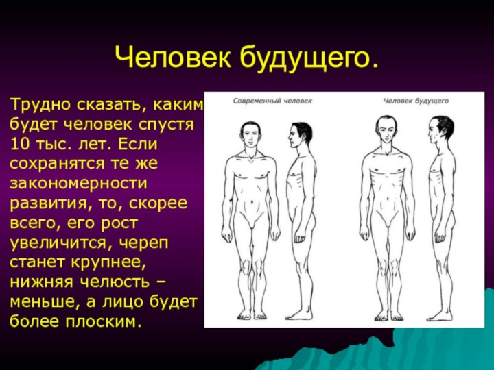 Человек будущего.  Трудно сказать, каким будет человек спустя 10 тыс. лет.