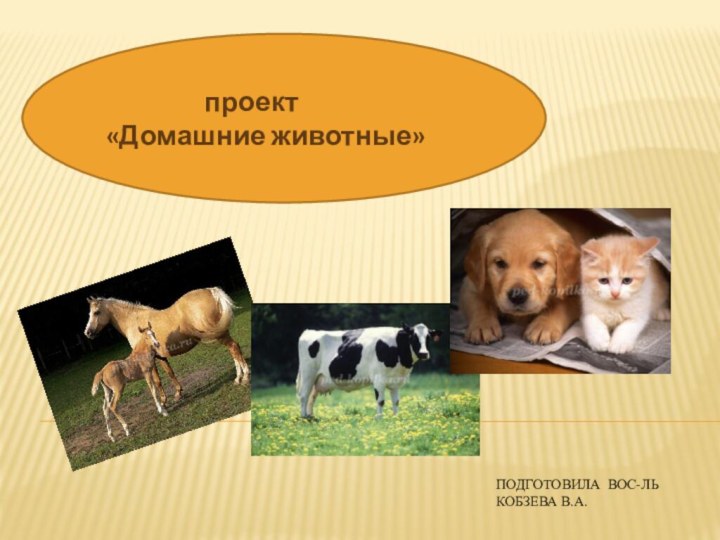 Подготовила вос-ль Кобзева В.А.«Домашние животные         проект«Домашние животные»