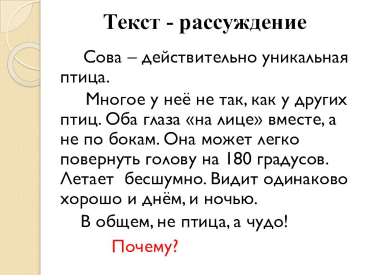 Сова – действительно уникальная птица.   Многое у